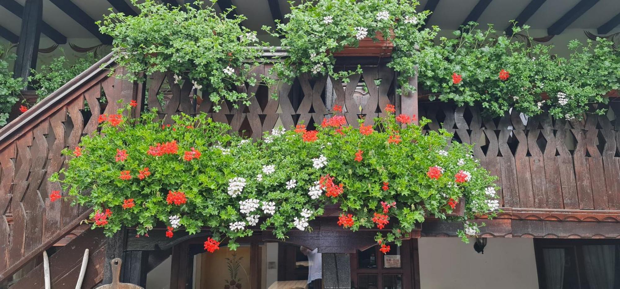 Стаи За Гости The Old House Velingrad Buitenkant foto
